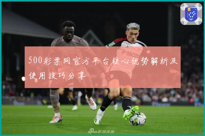 500彩票网官方平台核心优势解析及使用技巧分享